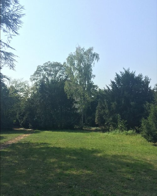 FWG Wohnquartier am Wingertsgrund
Was entsteht in dieser kleinen Großstadt-Oase? Hier darf bald ausgiebig gewohnt ... FWG Wohnquartier am Wingertsgrund
Was entsteht in dieser kleinen Großstadt-Oase? Hier darf bald ausgiebig gewohnt ...